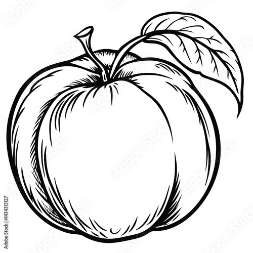 Detailed black and white illustration of an apple with a leaf