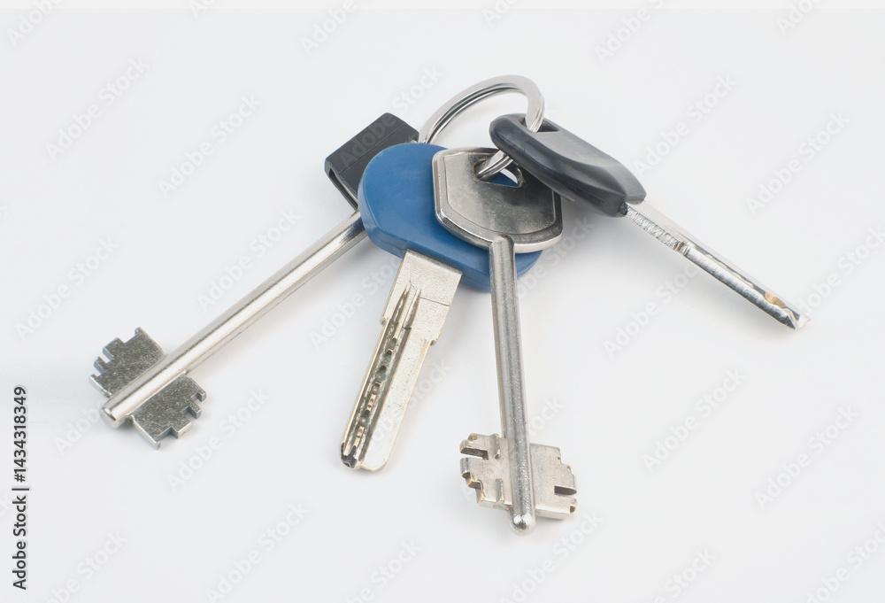 set of various keys on keyrings isolated set of various keys on keyrings isolated