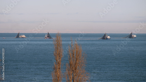Fishing trawlers in morning light photo