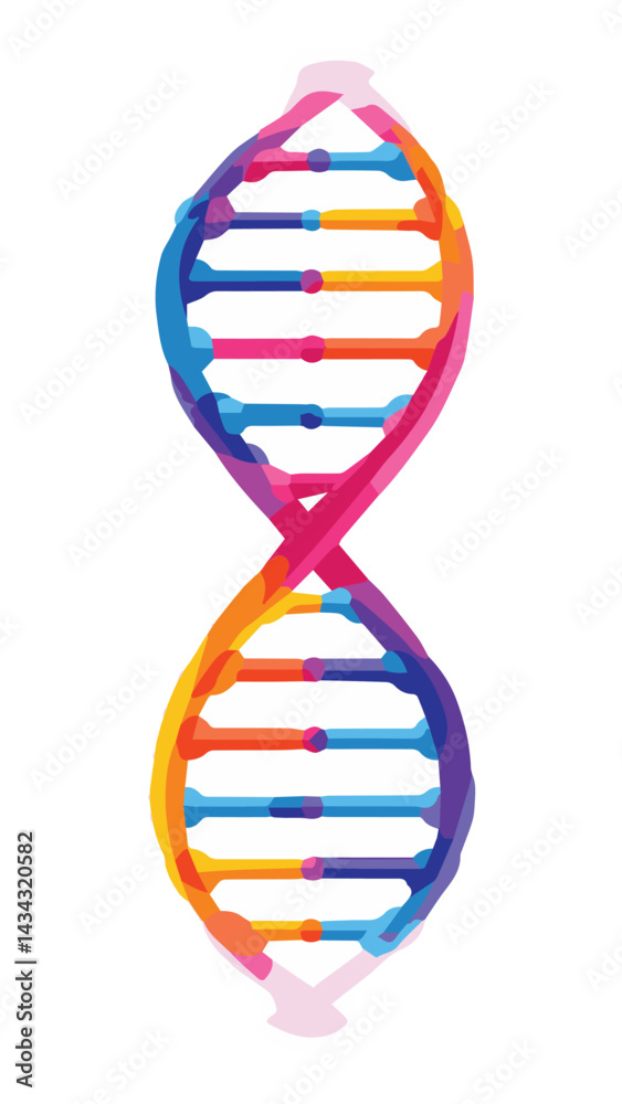 dna strand on white background