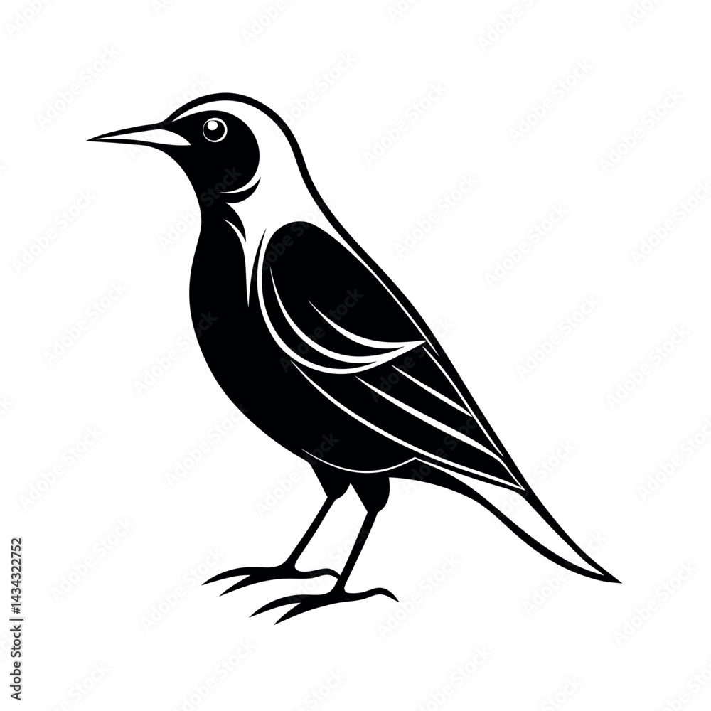 Naklejka premium Starling Bird Silhouette Vector