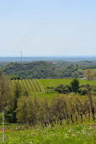 Obraz na płótnie A picturesque view from Gornje Psarjevo in Croatia extends eastward over lush green fields and scattered houses under a clear sky w salonie