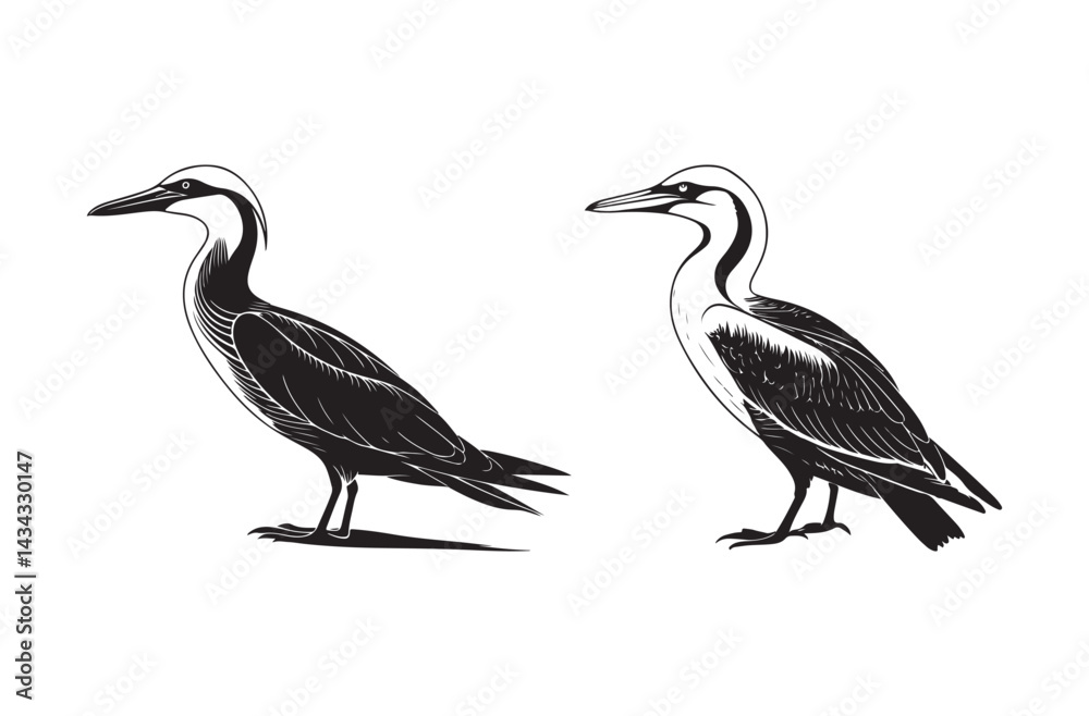 Obraz premium Heron Bird Silhouette Vector Art Elegant Wildlife Design for Nature and Ornithology Lovers