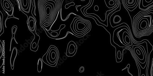 Generate a high-contrast black and white topographic map featuring detailed contour lines. The map should display various elevations using closely spaced, Topography and geography map grid abstract.