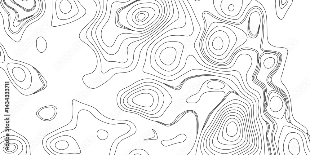 Fototapeta premium Topography and geography map grid abstract backdrop. Business concept. Fish Fillet Texture, Generate a high-contrast black and white topographic map featuring detailed contour lines. 