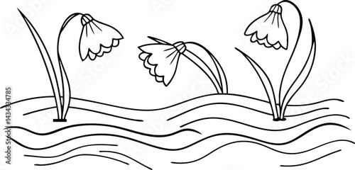 Simple Line Art Illustration Of Snowdrop Flowers In A Field Outline Design