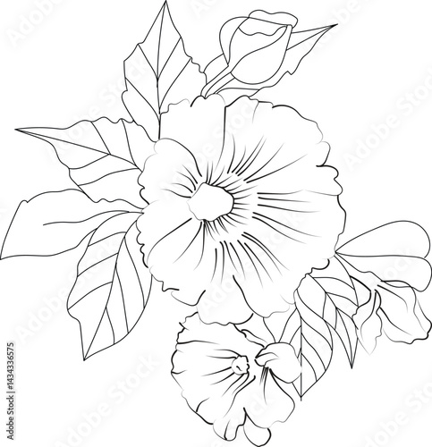 Hollyhock flower coloring book hand-drawn botanical spring elements, bouquet of Hollyhock flowers, line art, coloring page, vector sketch, artistic simplicity doodle art