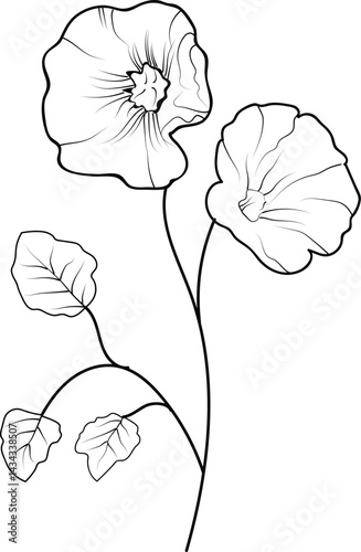 Birth flower vector illustration, beautiful Hollyhock flower wall decor, hand-drawn coloring pages Hollyhock flower drawing of artistic Hollyhock flower engraved ink art, Hollyhock flower tattoo desig