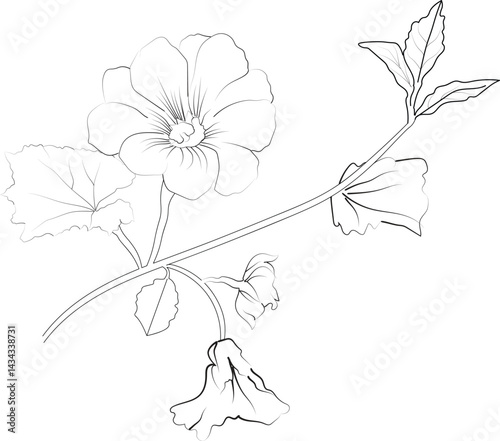 Hollyhock flower design for card or print. hand-painted Hollyhock flower illustration isolated on white, engraved ink art floral coloring pages, and books for print, pretty flower coloring pages