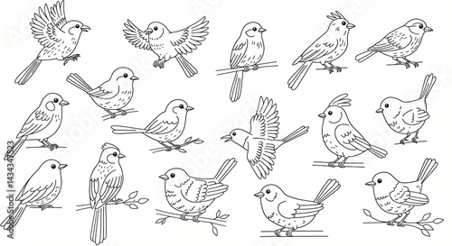 Wallpaper Mural line art birds drawings cute for children coloring books Torontodigital.ca