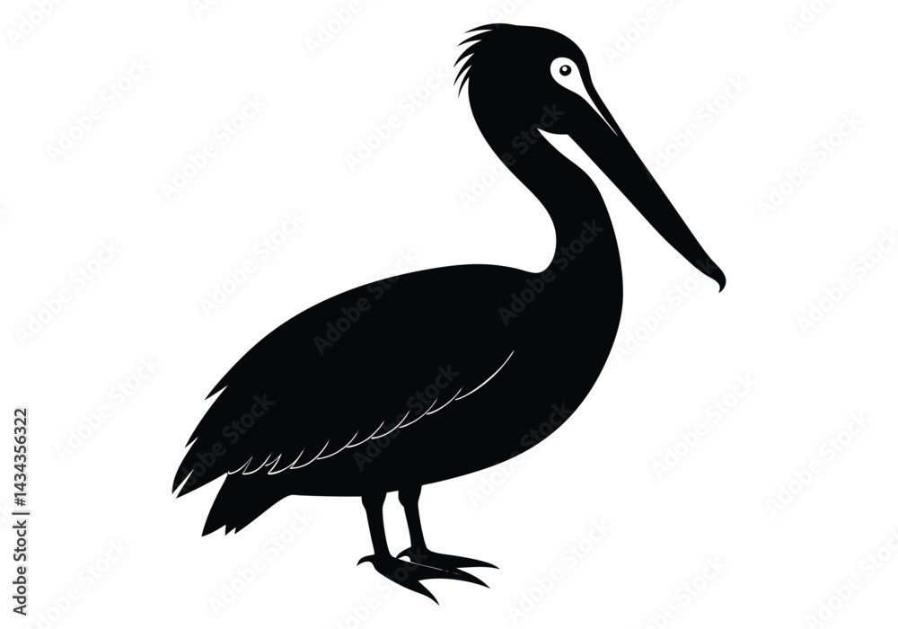Fototapeta premium a pelican silhouette on white background
