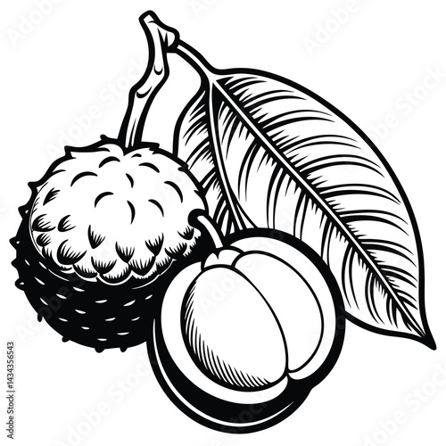 Black and white illustration of a fruit with leaves