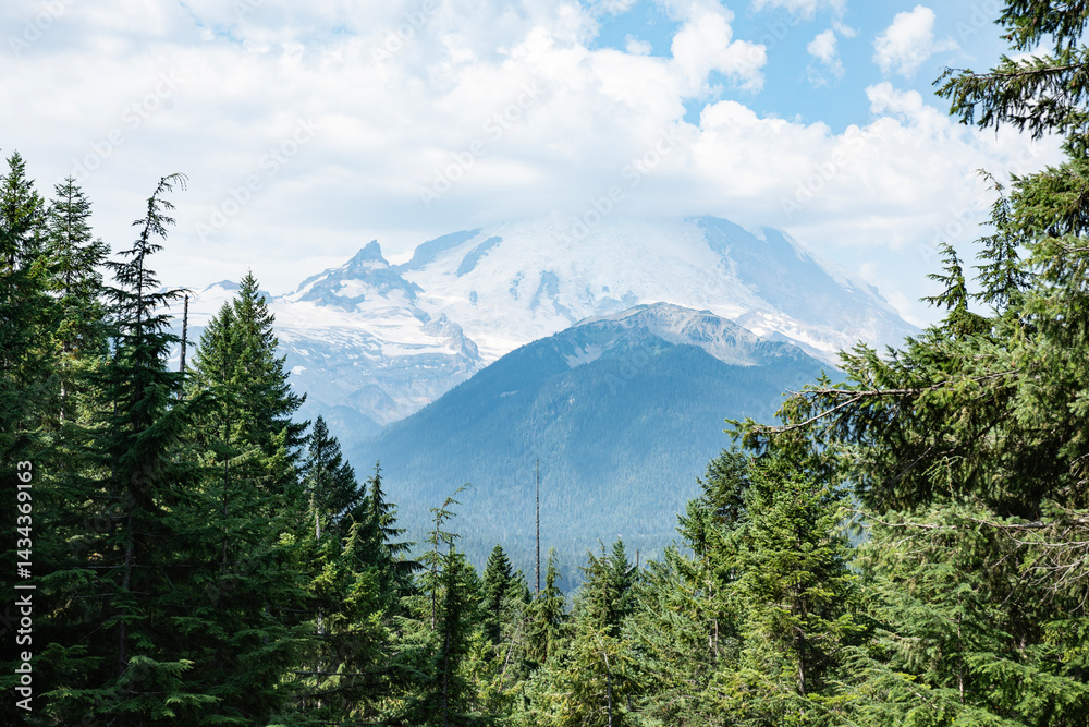 Obraz premium Mount Rainer