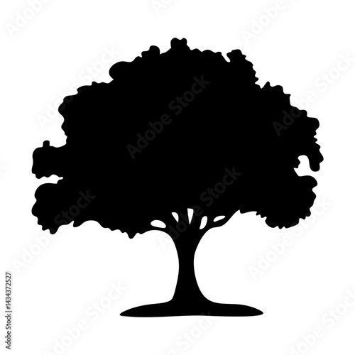 Monochrome silhouette of a mature deciduous tree,branches reaching out, on on a transparent background