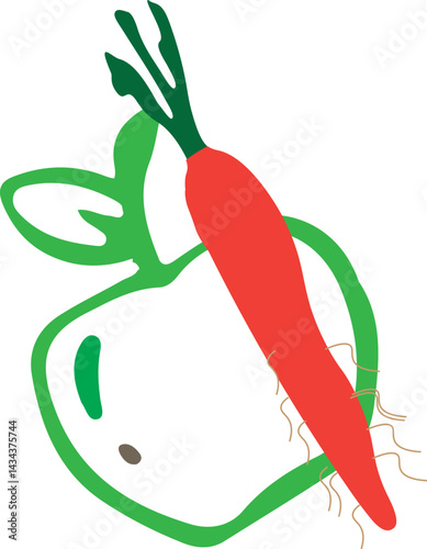 apple and carrot vector and illustration