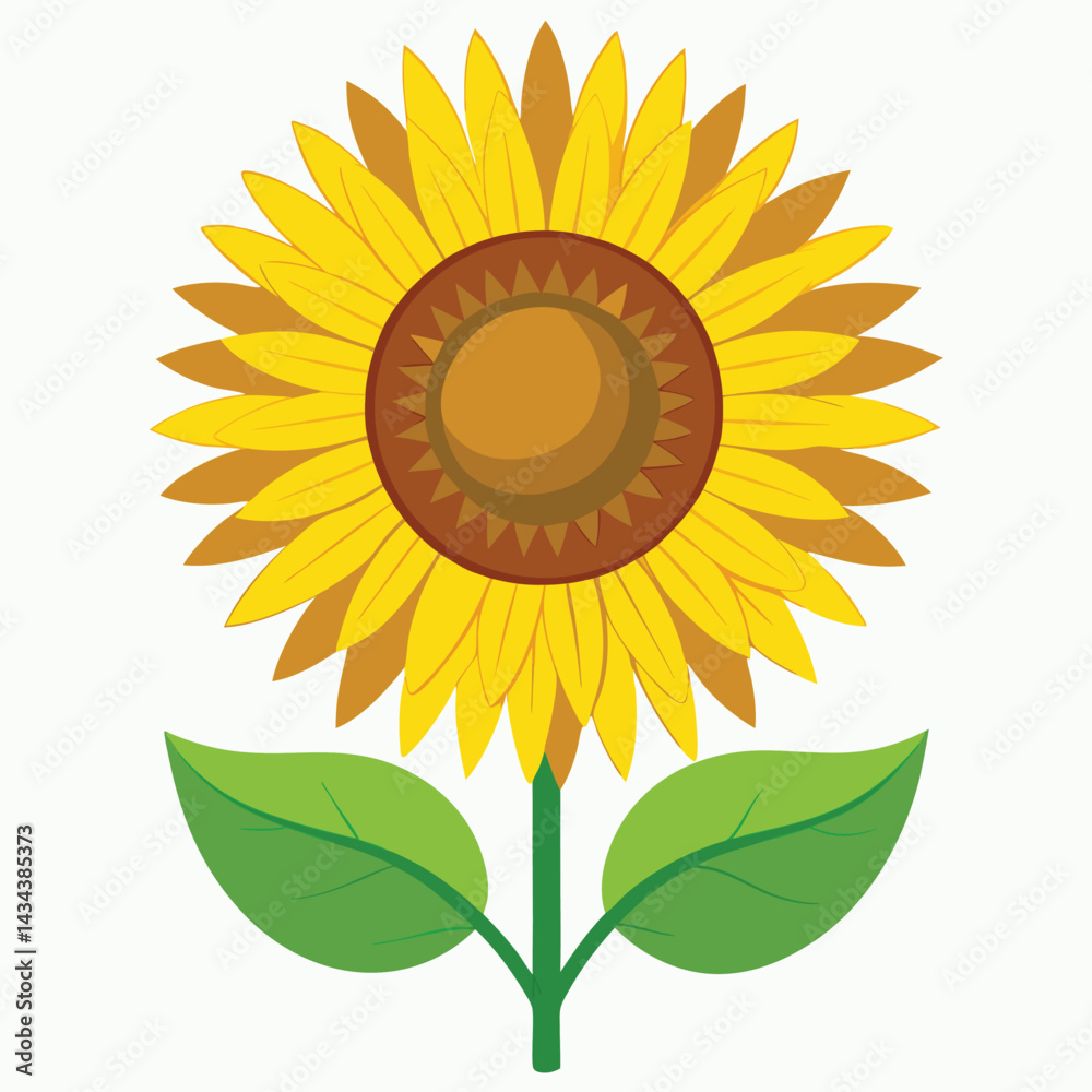 Fototapeta premium sunflower botanical drawing