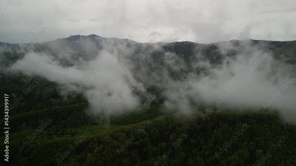 Aerial fly away from low clouds in Pisgah national Forest in southern appalachian mountains Aerial fly away from low clouds in Pisgah national Forest in southern appalachian mountains