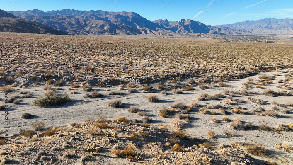 Aerial drone photo of wildflower desert fields and amazing landscape in beautiful Anza - Borego State Park, California, United States of America