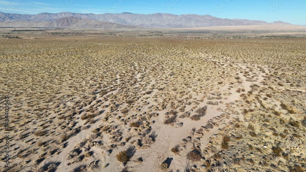 Aerial drone photo of wildflower desert fields and amazing landscape in beautiful Anza - Borego State Park, California, United States of America