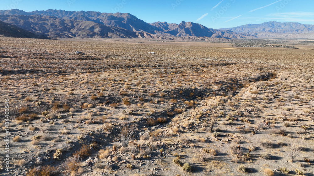 Aerial drone photo of wildflower desert fields and amazing landscape in beautiful Anza - Borego State Park, California, United States of America