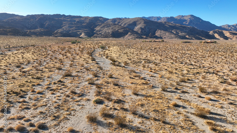 Aerial drone photo of wildflower desert fields and amazing landscape in beautiful Anza - Borego State Park, California, United States of America
