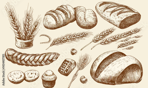 Vintage Wheat and Bread Sketch Vector Illustration in Engraving Style