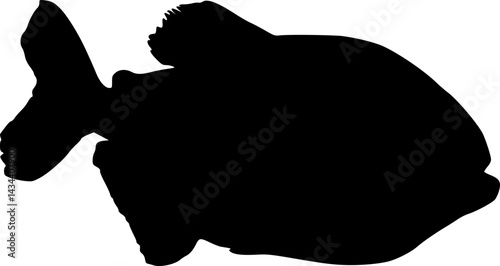 Piranha silhouette