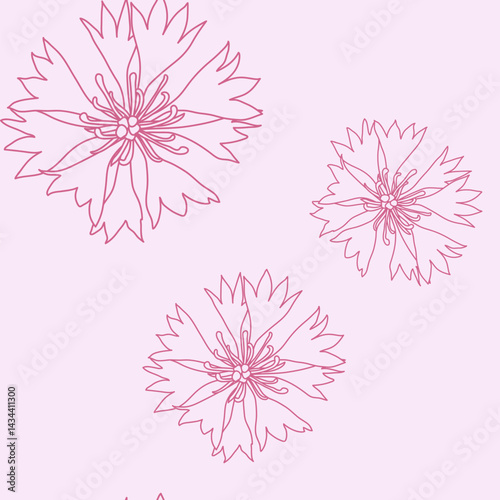seamless pattern with pink cornflowers flowers, Floral graphic design