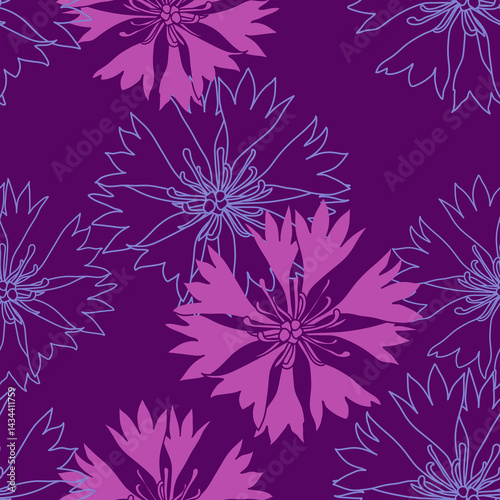 seamless pattern with pink cornflowers flowers, Floral graphic design