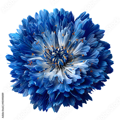 Obraz na płótnie blue flower, design or wedding presentation, isolated on a transparent background. PNG cutout or clipping path. w salonie