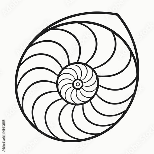 Nautilus shell vector design for scientific, educational, and decorative purposes