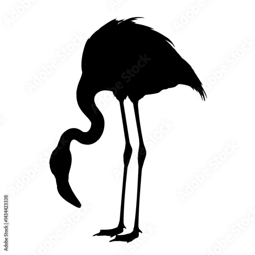 flamingo silhouette – vector illustration