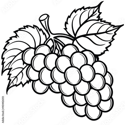 Black and white illustration of a bunch of berries with leaves