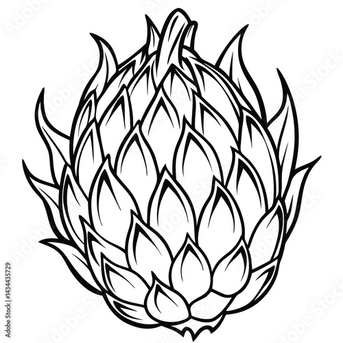 Stylized Drawing of a Dragon Fruit