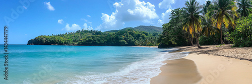 Panorama of tropical sea beach with palm trees. coconut palms and calm sea. Romantic vacation. Magnificent landscape. ocean. lagoon