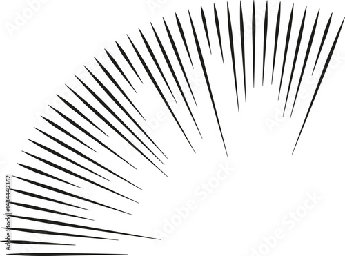 One quarter of a circular shape with irregular rays extending outward from the center.