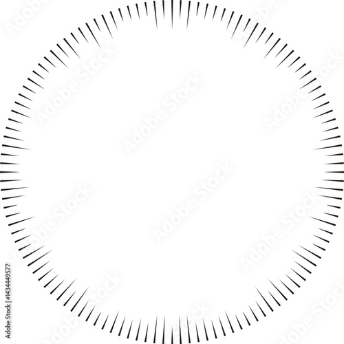 Circular shape with irregular rays tapering inward, with a large center space and rays ending inside the boundary.