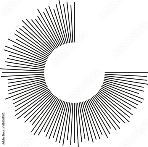 Circular shape missing one-quarter of the rays, with long irregular rays radiating outward.