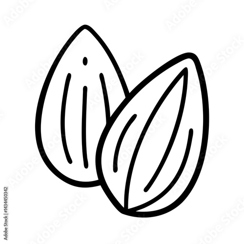Almond nut vector illustration drawing of healthy snack food ingredient for culinary use and design projects