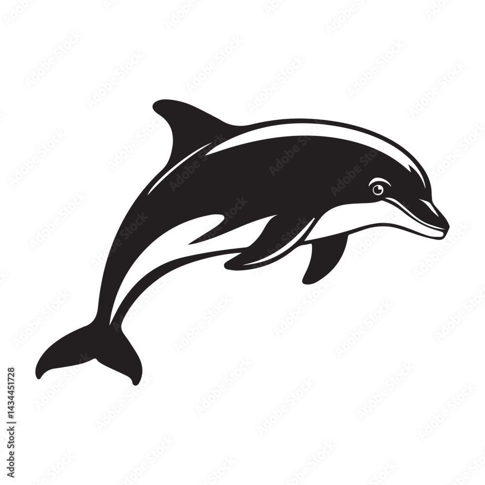 dolphin isolated on white dolphin isolated on white
