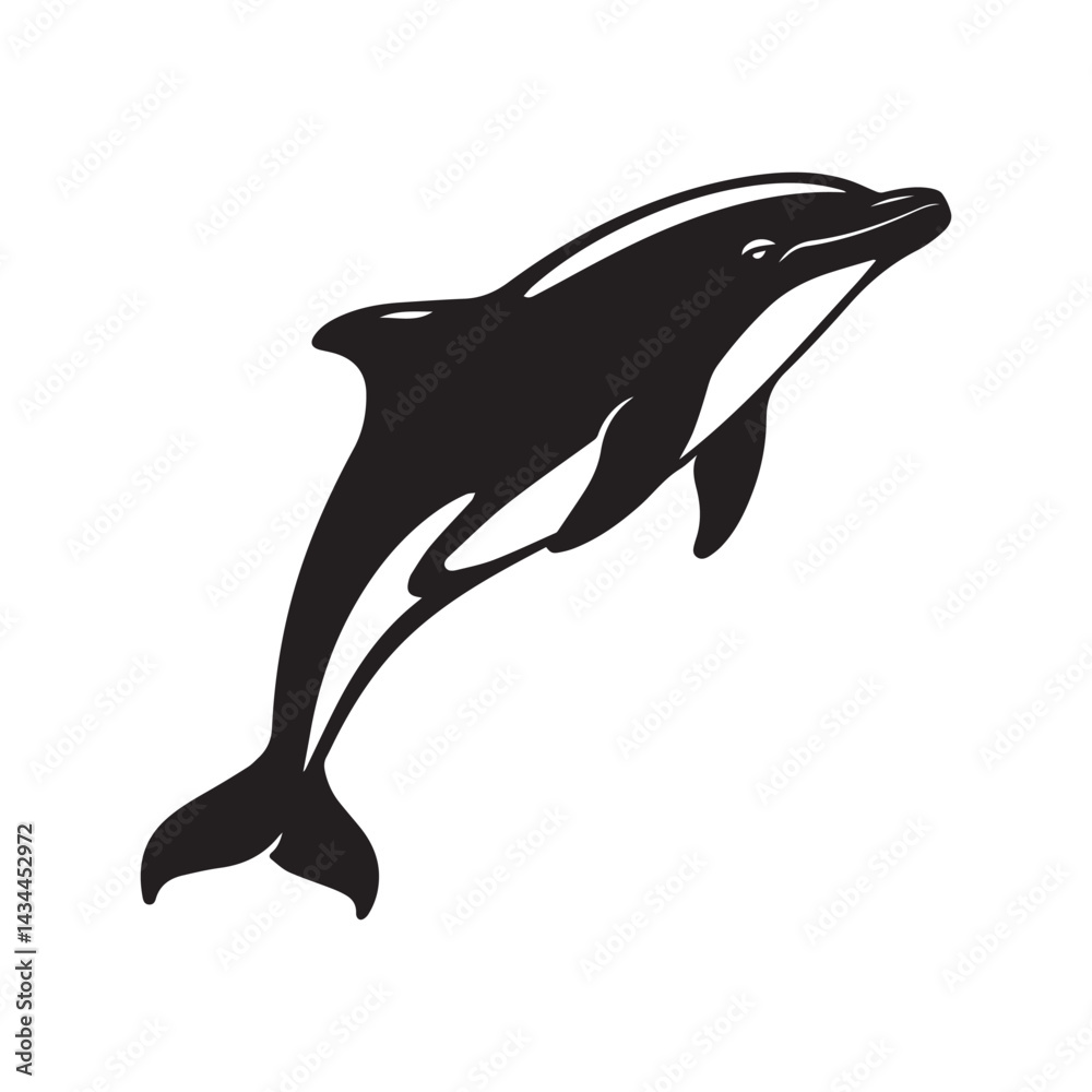 Fototapeta premium silhouette of a dolphin