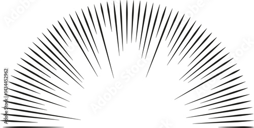 Semicircular shape with rays extending inward from the edges.