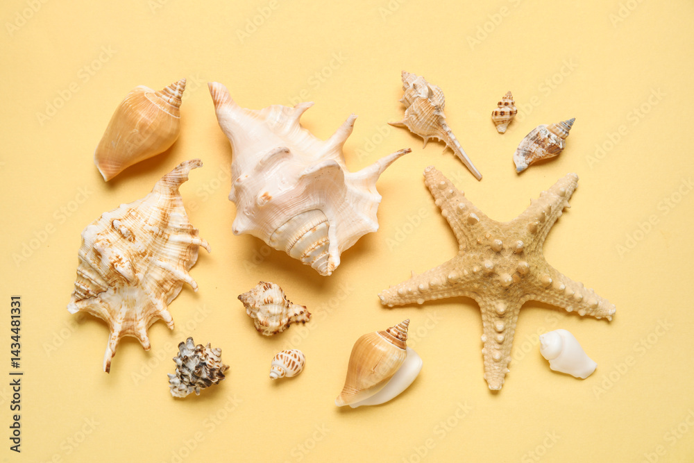 Many different seashells and starfish on yellow background Many different seashells and starfish on yellow background
