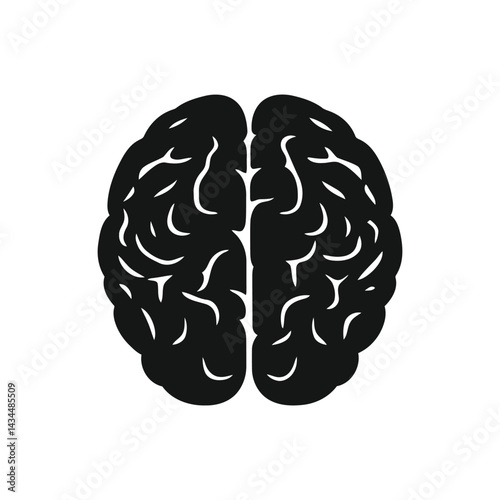 Brain Functions and Cognitive Psychology Understanding the Human Intellect