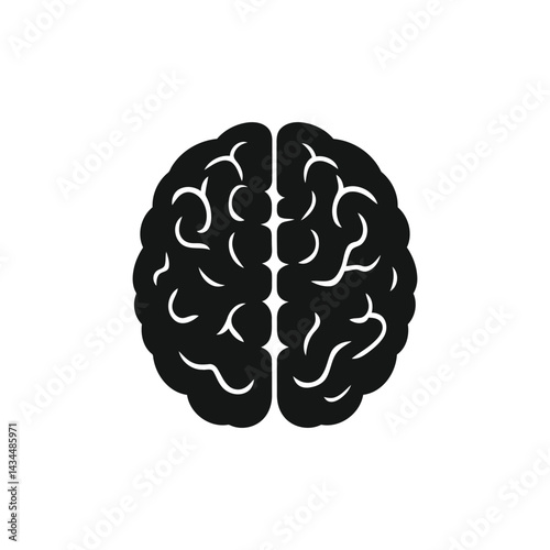 Understanding Human Brain Function An Overview for General Knowledge