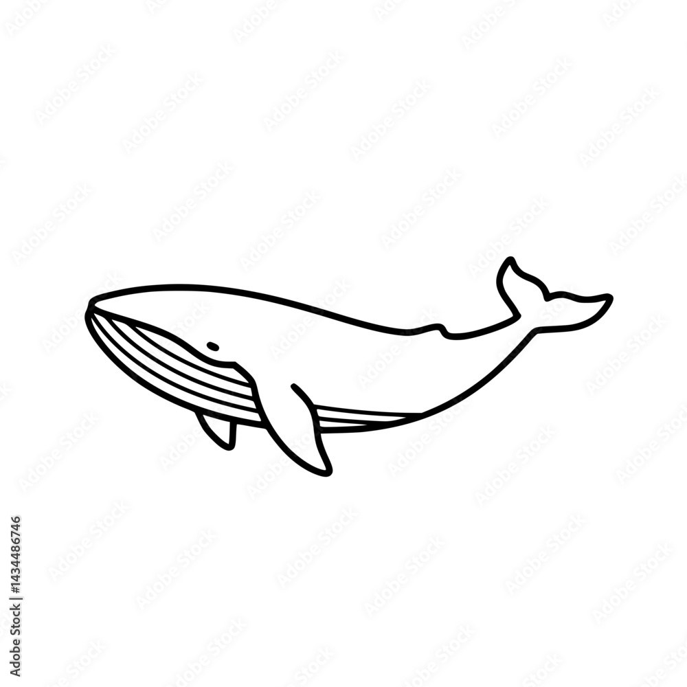 Fototapeta premium Swimming Whale Line Icon - Simple Vector Outline in minimalistic black and white design
