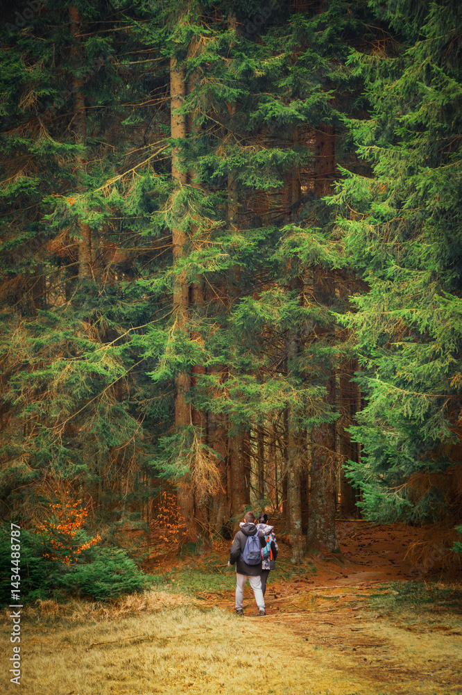Fototapeta premium A family walks along a scenic forest trail blanketed with vibrant autumn leaves. Surrounded by tall trees and warm colors, they enjoy a peaceful day in nature, sharing laughter, exploration.