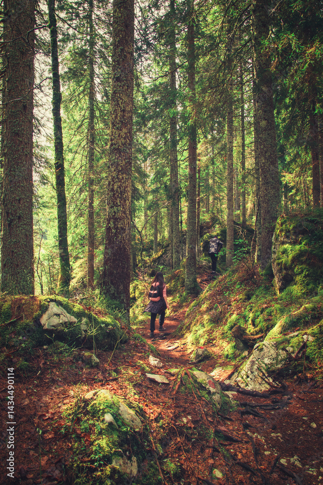 A family walks along a scenic forest trail blanketed with vibrant autumn leaves. Surrounded by tall trees and warm colors, they enjoy a peaceful day in nature, sharing laughter, exploration. A family walks along a scenic forest trail blanketed with vibrant autumn leaves. Surrounded by tall trees and warm colors, they enjoy a peaceful day in nature, sharing laughter, exploration.