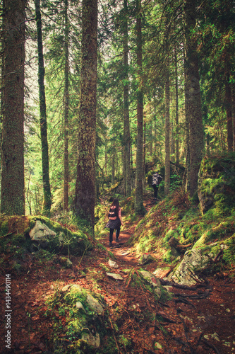 Wallpaper Mural A family walks along a scenic forest trail blanketed with vibrant autumn leaves. Surrounded by tall trees and warm colors, they enjoy a peaceful day in nature, sharing laughter, exploration. Torontodigital.ca