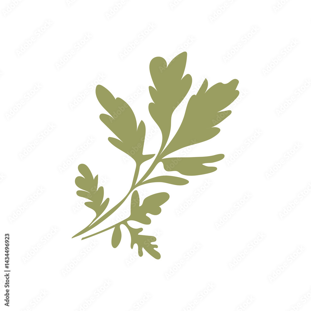 Fototapeta premium Green parsley herb in flat design. Organic scented plant for condiment. Vector illustration isolated.